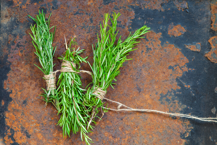 Rosmarin für den Winter trocknen
