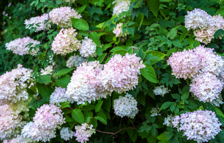 Standort und Bodenbeschaffenheit