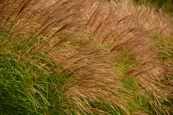 Standort und Wachstum