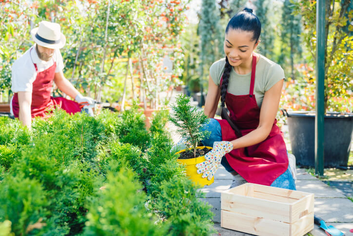 Warum ist Düngen so wichtig