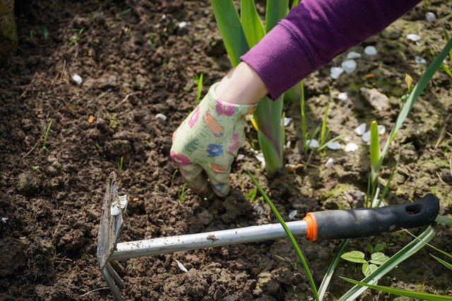 Welcher Rasendünger hilft gegen Unkraut