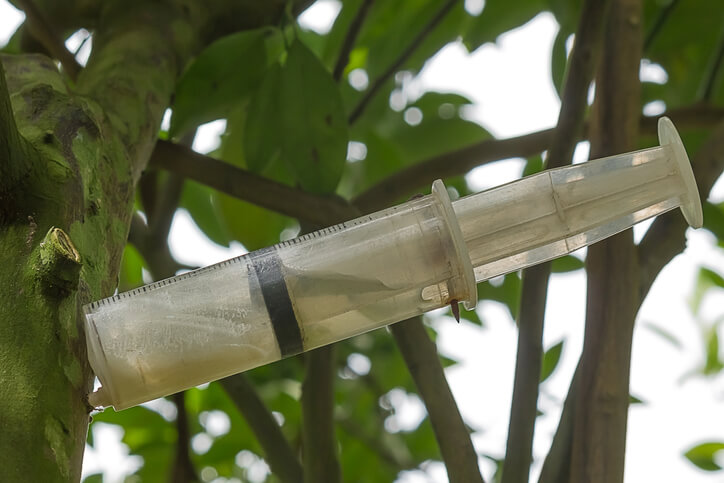 Wie funktioniert die Impfung gegen die Miniermotte