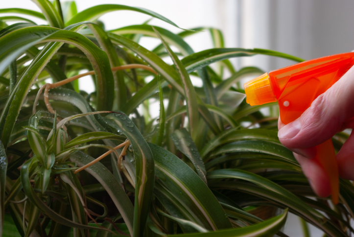 Worauf beim Düngen achten