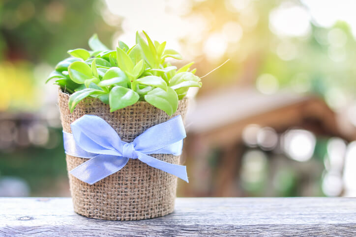 Ausgefallene Materialien zur Gestaltung von Blumentöpfen