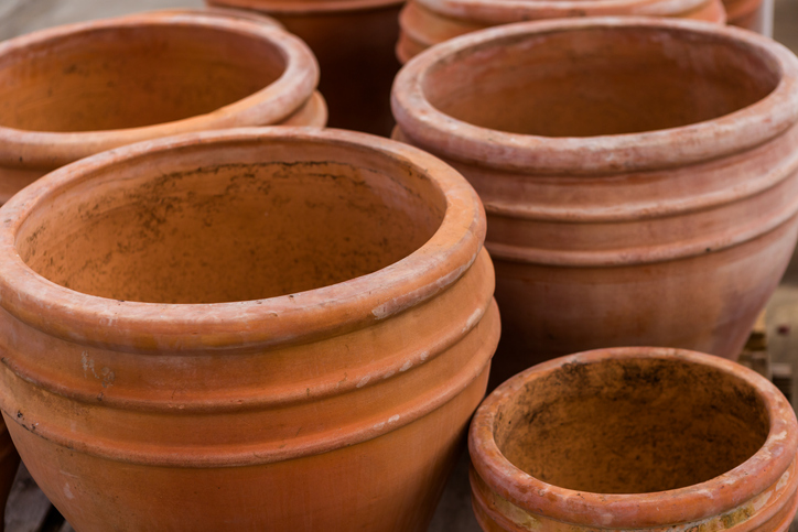 Das geeignete Gefäß für die Birke