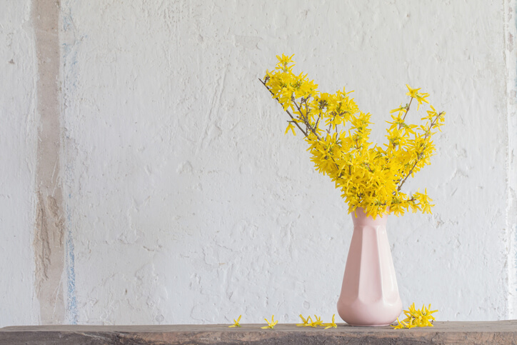 Der beste Standort in der Wohnung