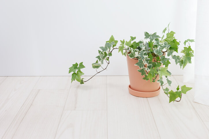 Der ideale Standort im Haus