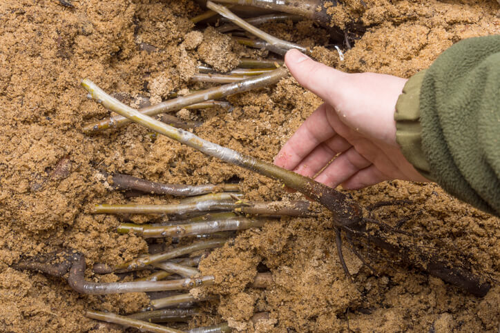 Der ideale Zeitpunkt