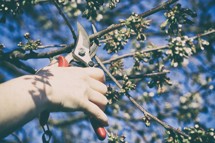 Der jährliche Schnitt