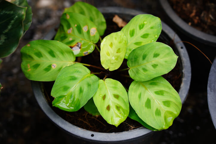 Der richtige Standort