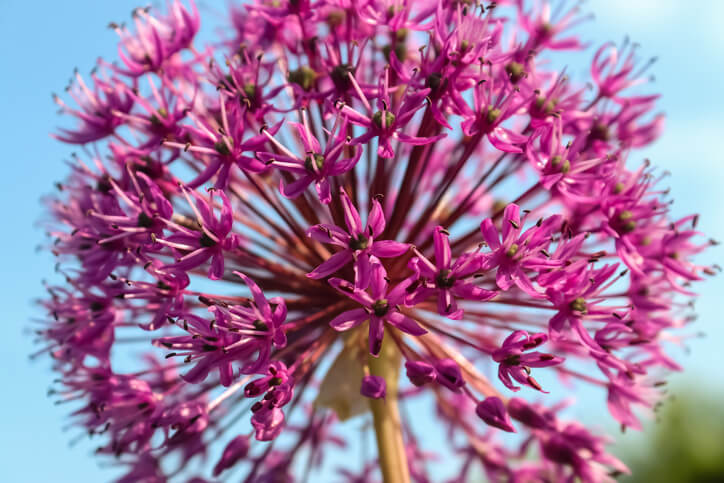 Die Vorbereitung auf den Winter