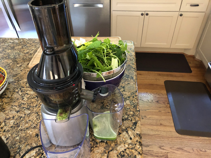 Die Wahl des richtigen Entsafters