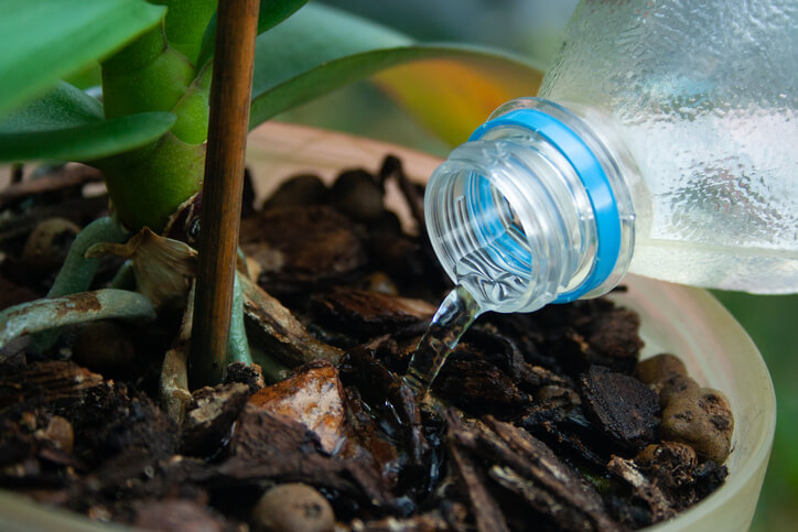 Die richtige Wasserversorgung