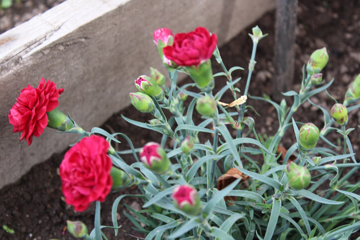 Einen geeigneten Standort wählen