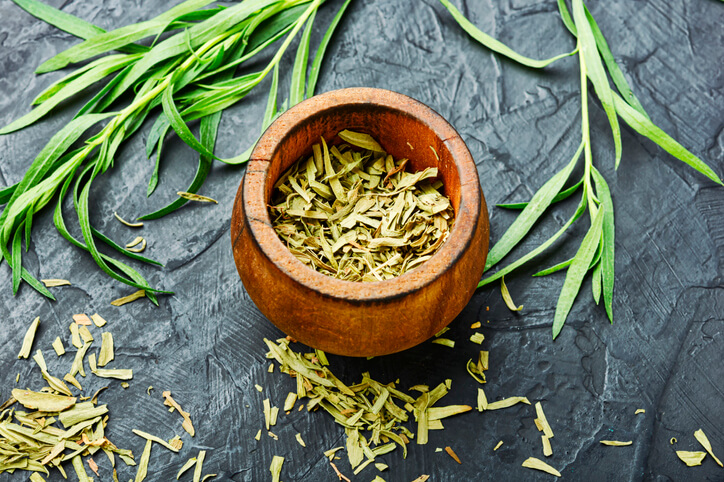 Estragon haltbar machen