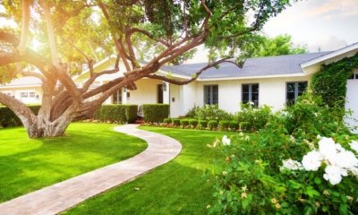Gartenhaus streichen - eine einfache Anleitung