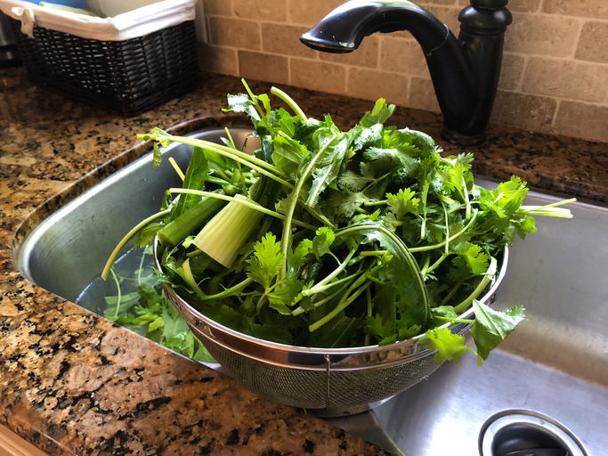 Kräuter optimal entsaften