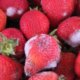 Mehltau auf Erdbeeren - was tun