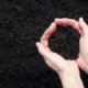 Mutterboden oder Komposterde - was ist besser für Rasen geeignet