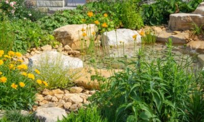 Naturstein im Garten verwenden - schöne Deko-Ideen