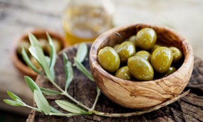 Oliven ernten und selbst konservieren