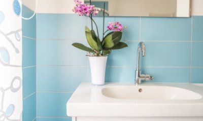 Orchideen im Bad halten
