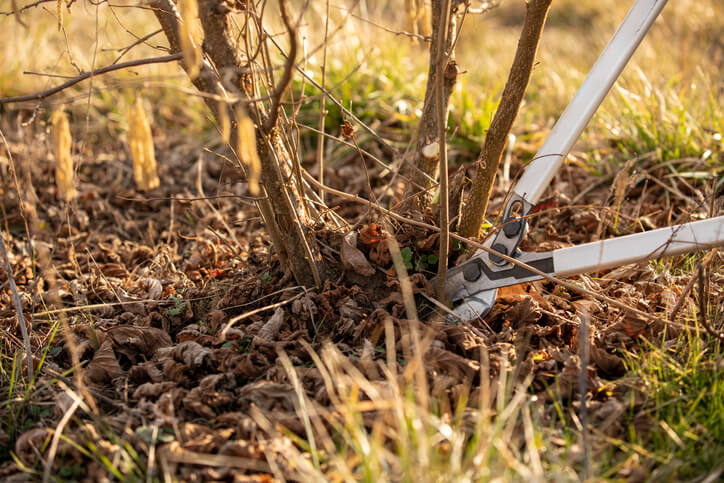 Regelmäßige Schnitte
