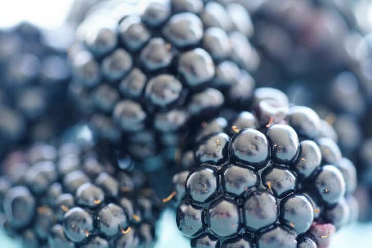 Sorten mit besonderen Eigenschaften