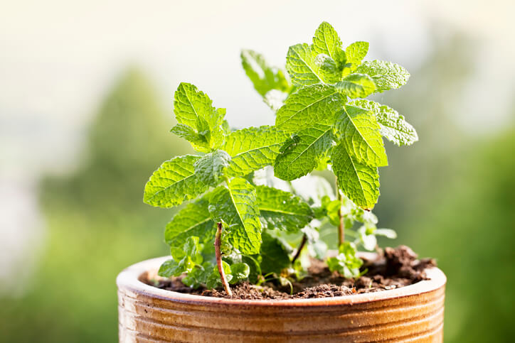 Standort richtig wählen