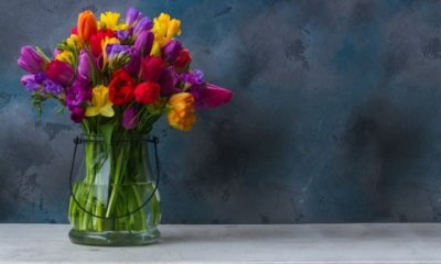Tulpen und Narzissen in der Vase zusammen halten