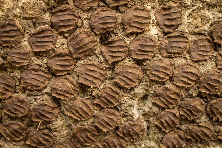 Warum Kuhdung Pellets als Dünger verwenden