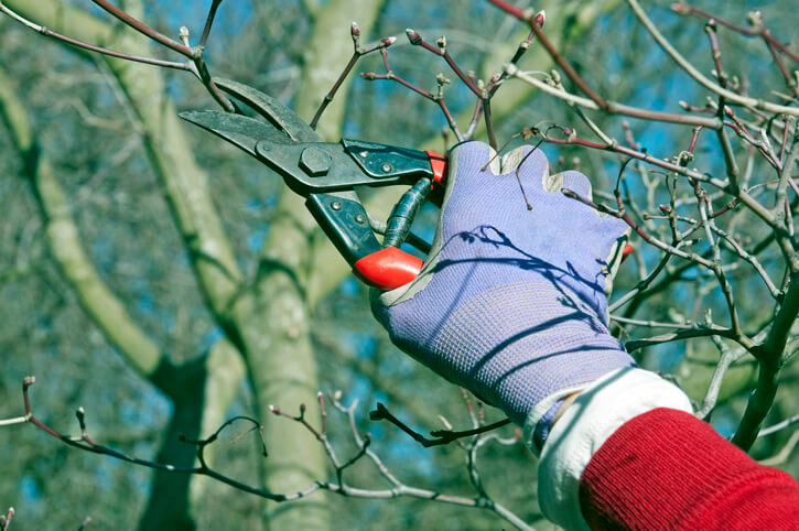 Wie schneidet man richtig