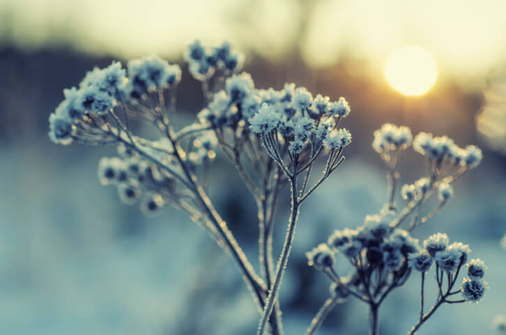 Wodurch entstehen Kälteeinbrüche im Mai