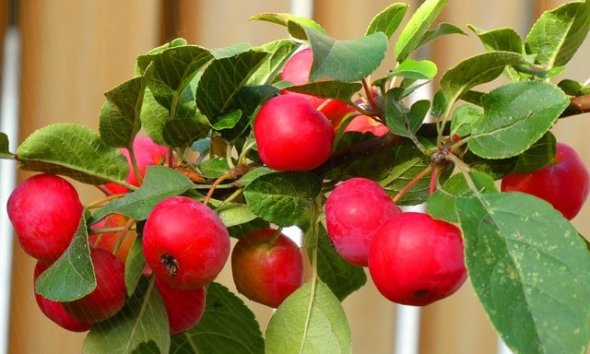 Die Kunst, einen fesselnden Roman zu schreiben