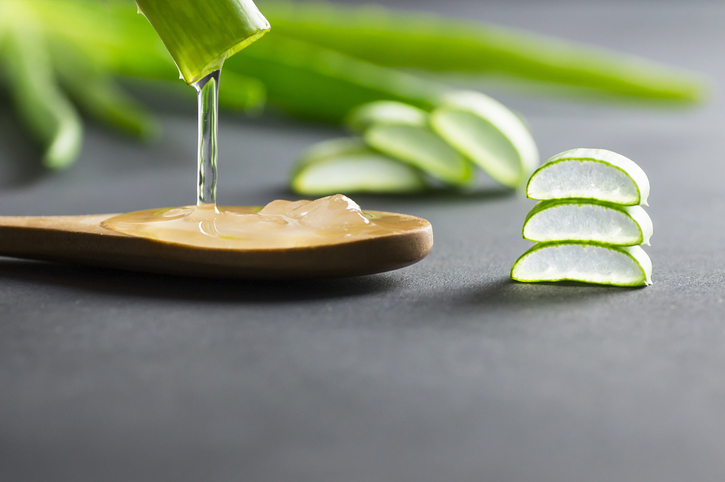 Aloe vera richtig ausbluten
