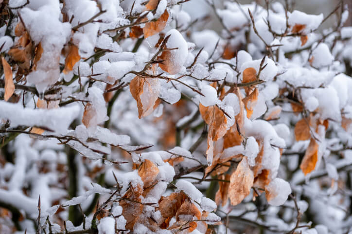 Auf die Wasserversorgung achten
