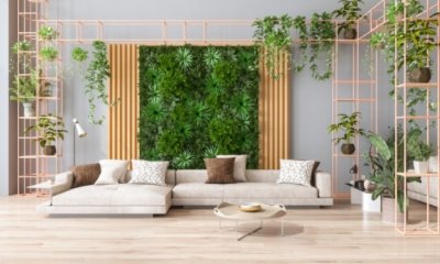 Bepflanzte Wand im Wohnzimmer - kreative Ideen