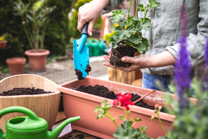 Blumenkasten mit Wasserspeicher nutzen