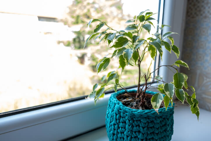 Blumentopf häkeln - eine kinderleichte Anleitung