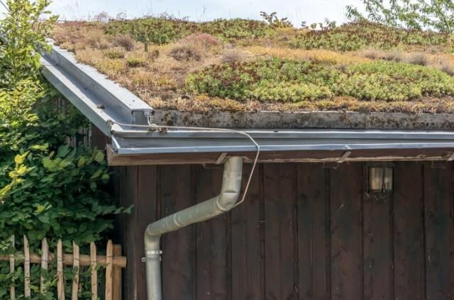 Dach bepflanzen - welche Pflanzen passen am besten