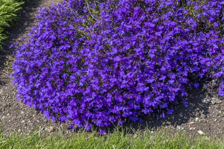 Der optimale Standort