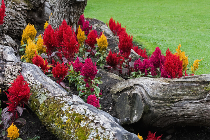 Der optimale Standort