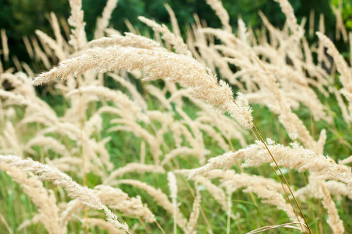 Der richtige Schnittzeitpunkt