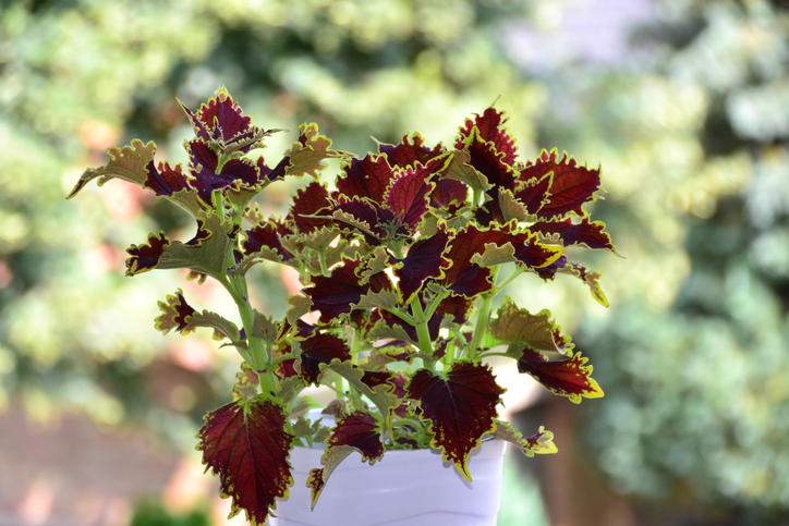 Der richtige Standort