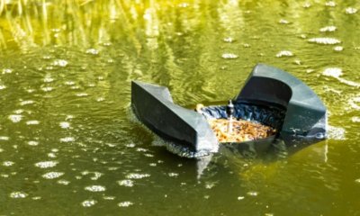 Die Teichpumpe im Winter - worauf ist zu achten