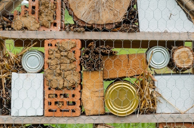 Die richtige Ausrichtung für Ihr Insektenhotel