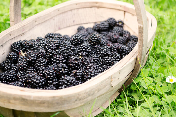 Die richtige Kleidung und die wichtigsten Utensilien