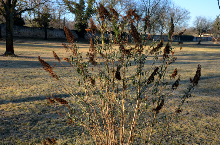 Die richtige Pflege im Winter
