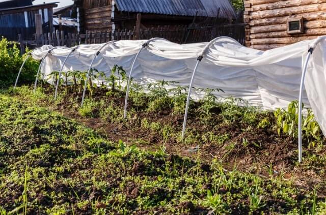 Ein Beet richtig abdecken - Tipps und Tricks