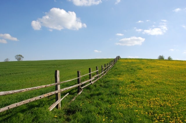 Eine Wiese einzäunen - ist das erlaubt